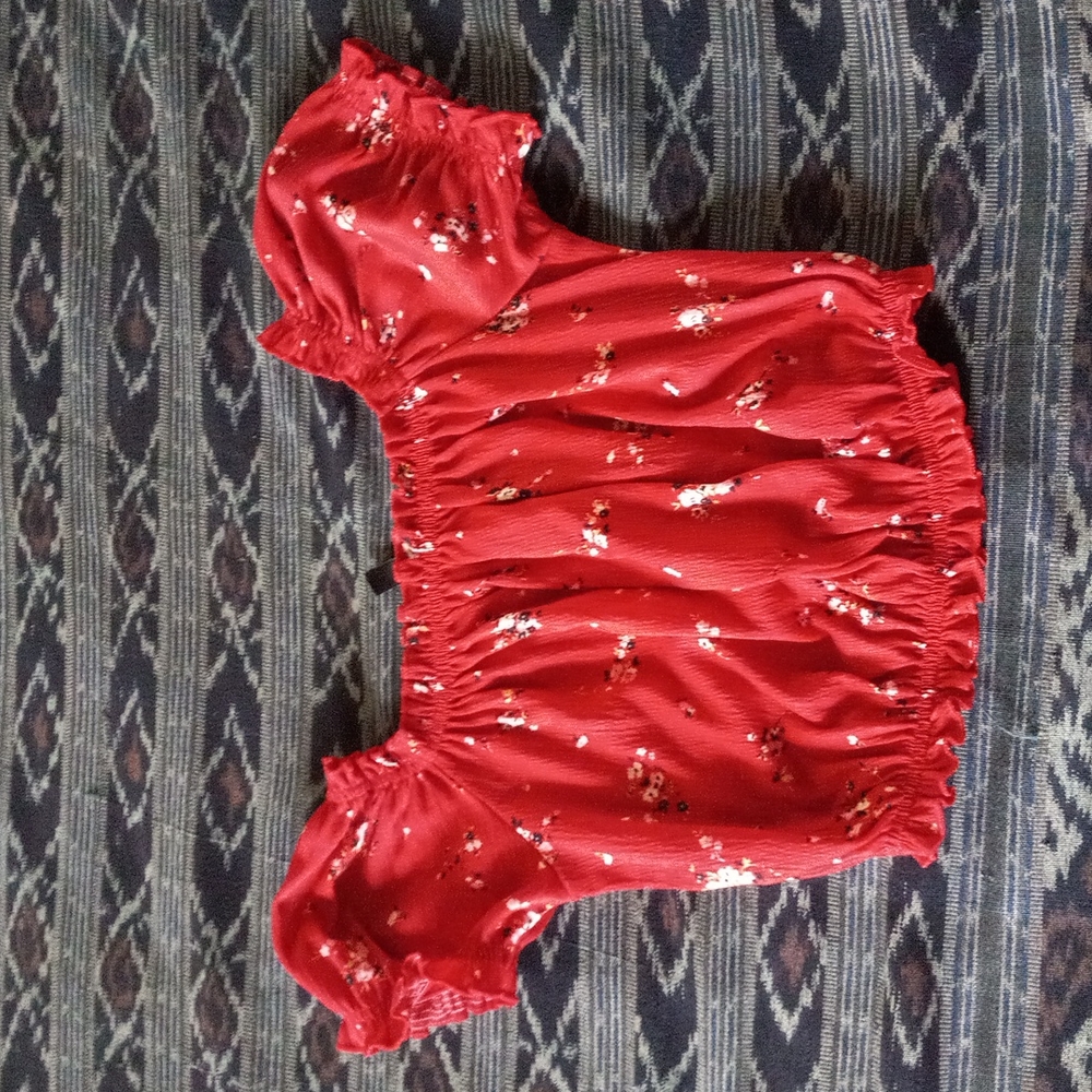 Divided xs crop top